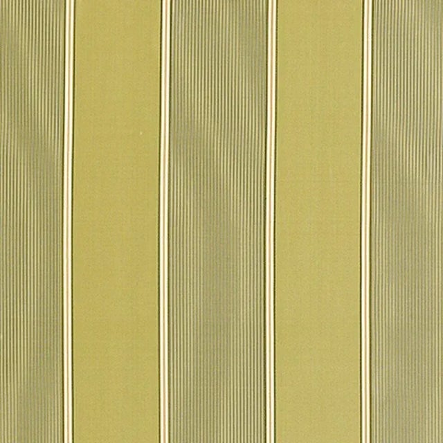 Sample - Schumacher Sophia Silk Stripe Fabric in Willow For Sale