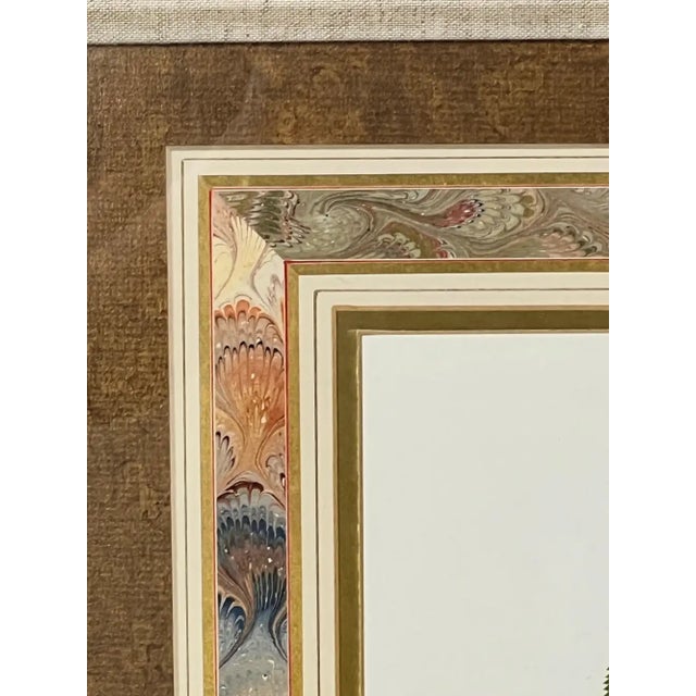Rose Vintage Botanical Rose Rosa Centifolia After Van Spaendonck Gilt Framed Print 1960's For Sale - Image 8 of 13