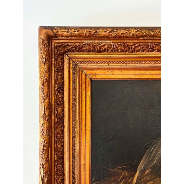 Baroque European Artist, Game Birds Still Life, Oil on Canvas For Sale - Image 3 of 12