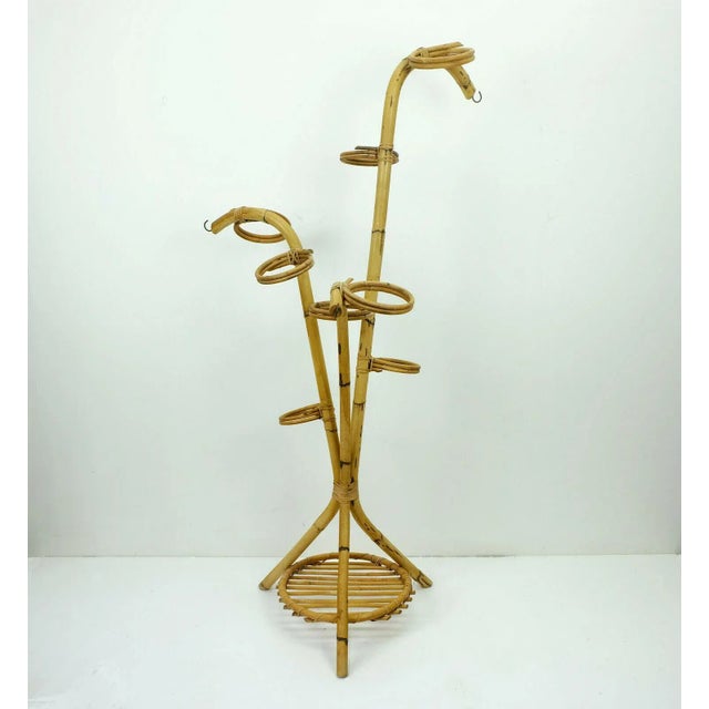 Bamboo and Ratten Flower Stand, 1950s For Sale - Image 9 of 9