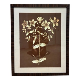 Natural Curiosities Ivory Floral Botanical Print in Espresso Wood Frame For Sale