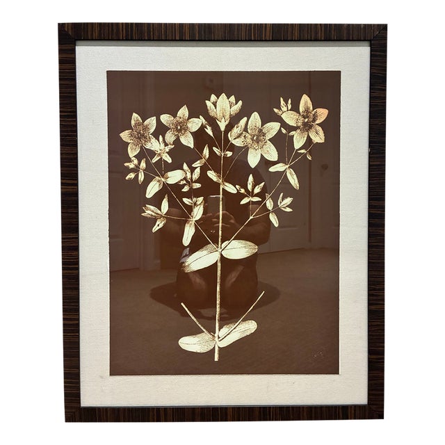 Natural Curiosities Ivory Floral Botanical Print in Espresso Wood Frame For Sale
