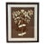 Natural Curiosities Ivory Floral Botanical Print in Espresso Wood Frame For Sale