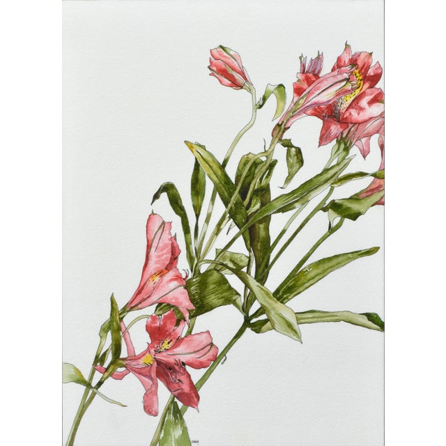 Wonderful watercolor, pen and ink floral study of Peruvian Lilies (1985) by California artist Deborah Eddy (American, b....