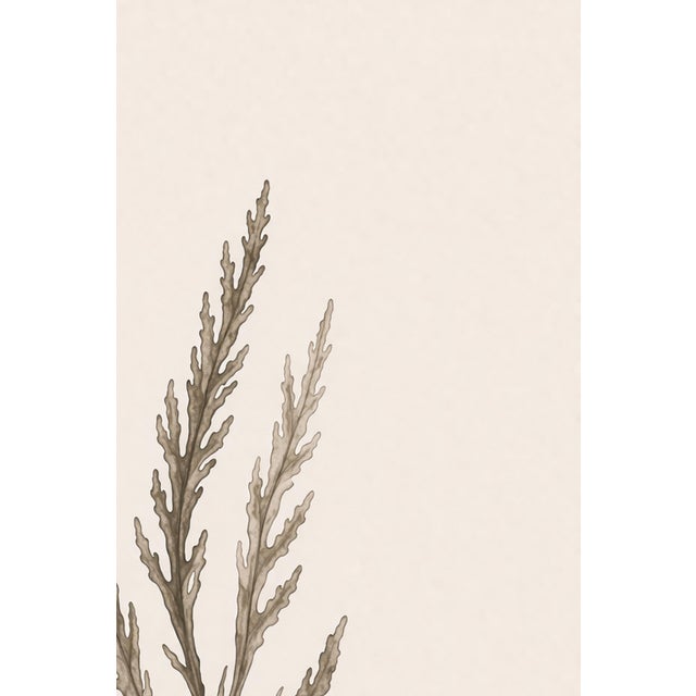 Paper Coastal Seaweed Study I, Minimalist Botanical Art Print, 24" × 36" Reproduction For Sale - Image 7 of 10