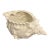 Vintage Large White Conch Seashell Planter For Sale