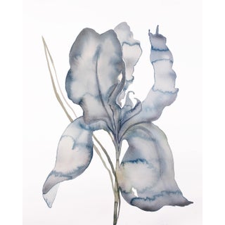 "Iris No. 174" Contemporary Original Botanical Watercolor Painting by Elizabeth Becker For Sale