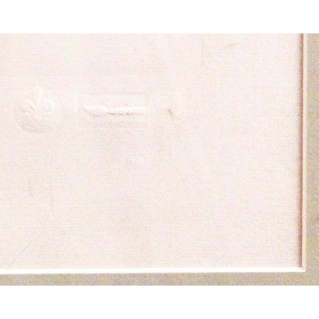 Original Vintage Custom Botanical Fern Reproduction Print with Makers Stamp For Sale - Image 9 of 18