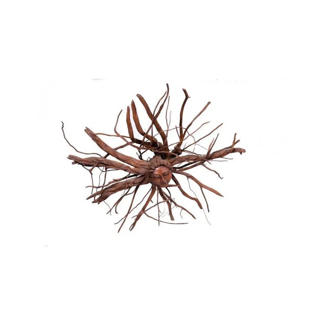 Wood Carved Acacia Root Depicting the Spirit of Nature For Sale - Image 7 of 7