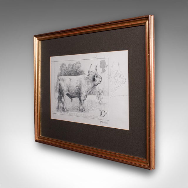 English Artist's Proof Sketch, English, Framed Drawing, Barry Driscoll, Chillingham Bull For Sale - Image 3 of 10