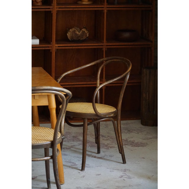 Mid-Century Vienna Chairs in Beech & Cane by ZPM Radomsko for Thonet 1960s, Set of 6 For Sale - Image 17 of 18
