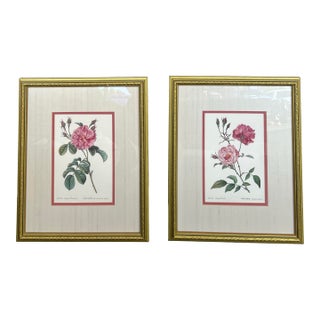 Pair of Vintage Framed Pink Roses by Pierre-Joseph Redouté Reproduction For Sale