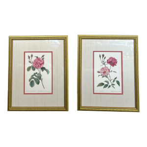Pair of Vintage Framed Pink Roses by Pierre-Joseph Redouté Reproduction