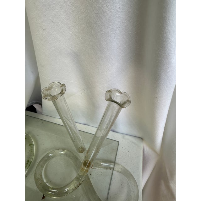 Transparent Vintage Propagation Snake Vases – a Pair For Sale - Image 8 of 9
