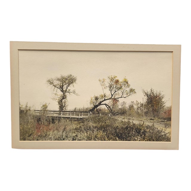 1960s Hand Tinted Sepia Toned Photo on Linen Paper For Sale