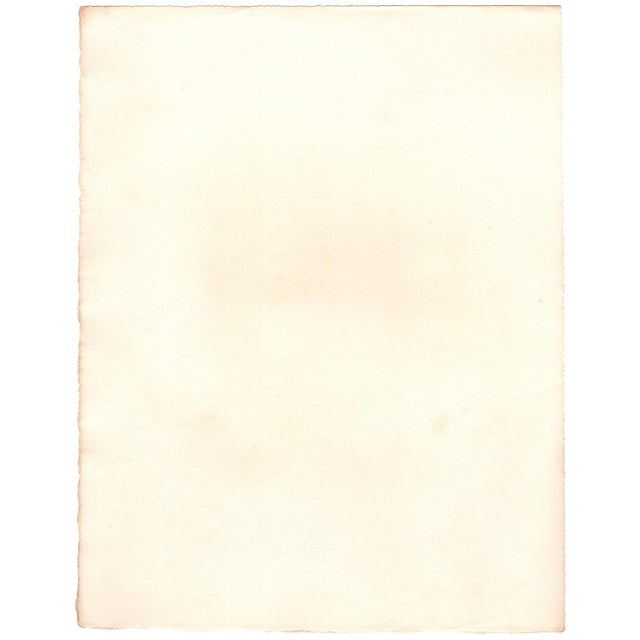 Rodin, Her Legs Tense and Vibrant as the Strings of a Viola, Nude, Original Lithograph, 1902 For Sale - Image 6 of 8