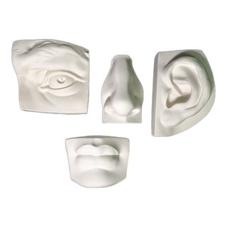 1970s Complete Set of 4 Brucciani Collection of Michelangelo's David's Face From the British Museum Company, Ltd. For Sale