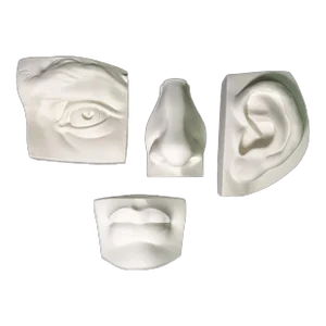 1970s Complete Set of 4 Brucciani Collection of Michelangelo's David's Face From the British Museum Company, Ltd.
