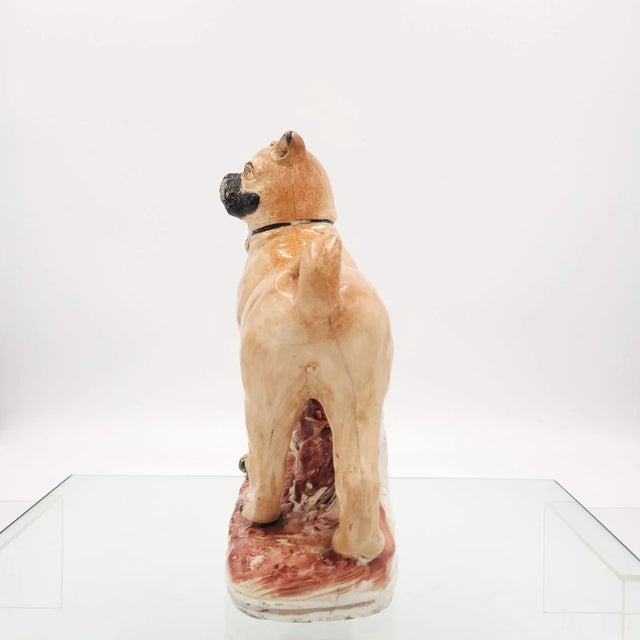 1850 Large Staffordshire Pug, England For Sale - Image 4 of 11