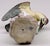 Late 19th Century Dresden Porcelain Bird For Sale - Image 5 of 7