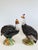A wonderful pair of guinea hen's that would be a lovely accent piece in any room or as a centerpiece for a festive...