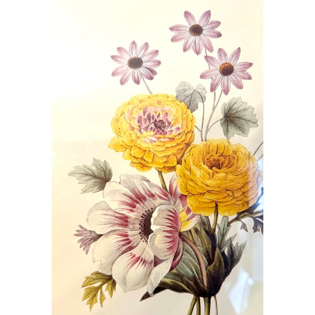 Late 20th Century Late 20th Century Pierre-Joseph Redouté Floral Botanical Print of Anémone, Renoncules Cinéraires For Sale - Image 5 of 12