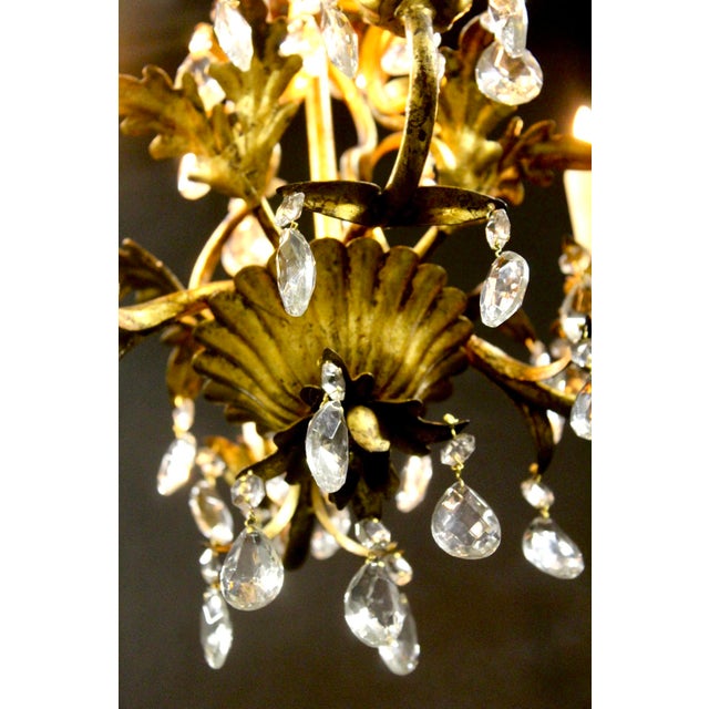 1950s Vintage French Goldleave Chandelier in Wrought Iron, 1950s For Sale - Image 5 of 6