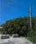 This oil on panel artwork captures a serene urban landscape, depicting a lush green bush against a bright blue sky, with...