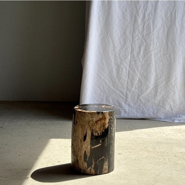 Stone Side Table in Black Petrified Wood with Beige Sides, 1980s For Sale - Image 7 of 18