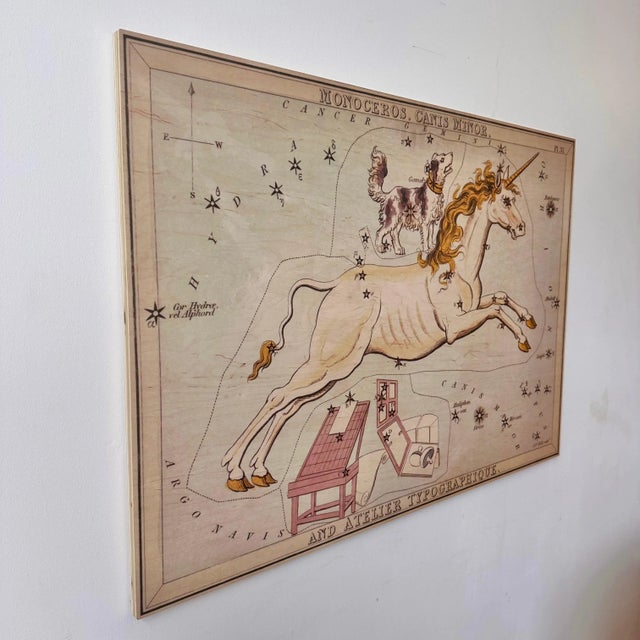1990s Monoceros and Canis Minor Constellation Map on Board Artwork For Sale - Image 5 of 12