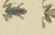 19th Century Bertuch, Five Frogs Including a Striped Frog, 1815, Print For Sale - Image 5 of 12