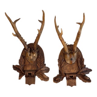 Antique Black Forest Deer Antlers Trophy For Sale