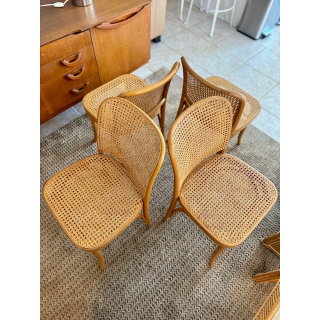 Tan Set of Four Iconic Cane Bentwood Chairs Designed by Josef Hoffmann, Model No. 811, and Produced by Fmg, Circa 1960s. For Sale - Image 8 of 12