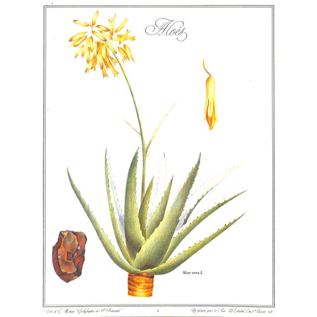 "Un Jardin Pour La Peau" 1986 Delaveau, Pierre/ Clair, Genevieve For Sale In New York - Image 6 of 11