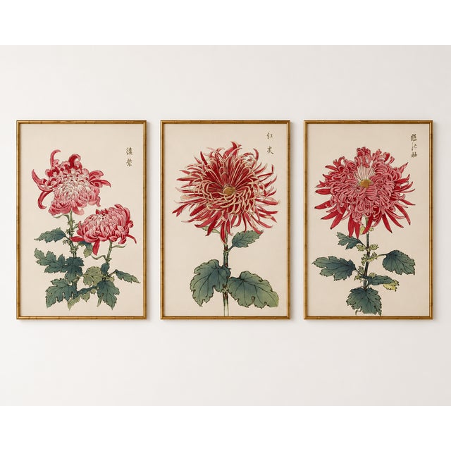 Not Yet Made - Made To Order Red Chrysanthemum Triptych, Vintage Japanese Botanical Art Prints (Set of 3), 16" X 24" For Sale - Image 5 of 8