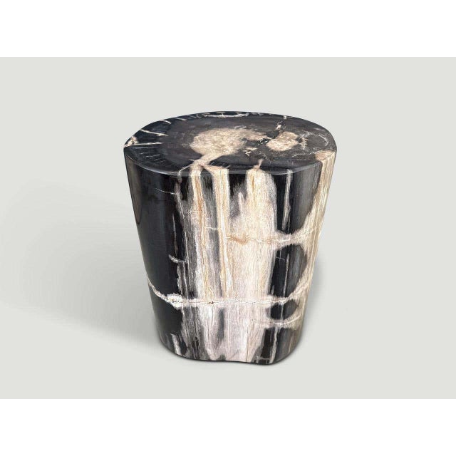 Wood Andrianna Shamaris Modern Organic Petrified Wood Side Table For Sale - Image 7 of 8