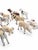 Antique White Great for Decor - Late 19th C. Antique German Hide-Covered Miniature Putz Farm Animals - Lot of 11 For Sale - Image 8 of 9
