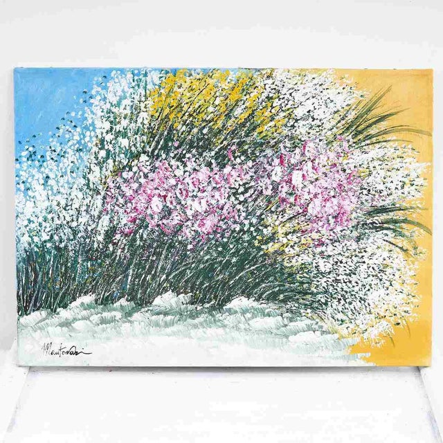 Costanza Mantovani, Broom in Sanremo, 2000s, Oil on Canvas For Sale - Image 8 of 9