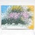 Costanza Mantovani, Broom in Sanremo, 2000s, Oil on Canvas For Sale - Image 8 of 9