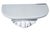 Paint Vintage Neoclassical Revival Rocaille Shell Plaster Wall Bracket Shelf For Sale - Image 7 of 13