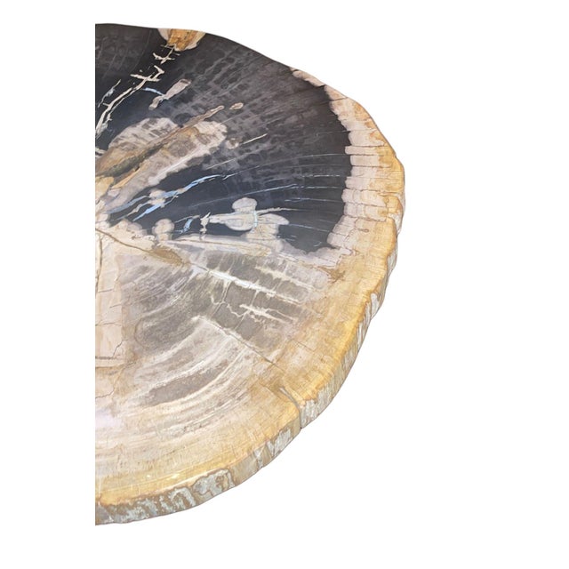 Cream Pair Modern Petrified Wood Side Tables W/ Sculptural Metal Bases. Late 20th C. For Sale - Image 8 of 12