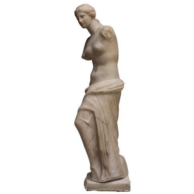 Carrara Marble Sculpture Copy of Venus de Milo, 1820s For Sale - Image 5 of 6