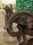 A Large 19th Century French Cast Iron Vase With Double Scrolled Handles For Sale - Image 15 of 18
