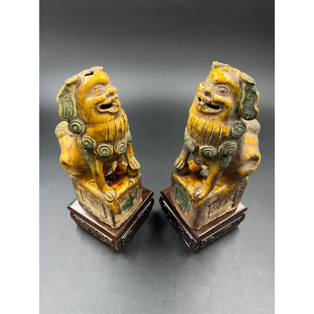 Early 20th Century Pair of Terra Cotta Foo Dogs For Sale - Image 11 of 12