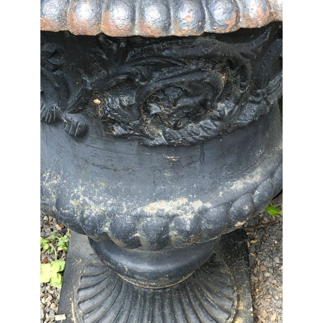 Large Capagna Form Black Cast Iron Planters Urns - a Pair For Sale - Image 10 of 11