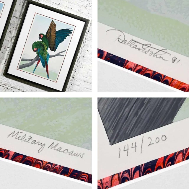 Vintage Dallas John Limited Edition Hand Signed Imperial Mates & Military Macaws Fine Art Serigraph Parrots For Sale - Image 9 of 13