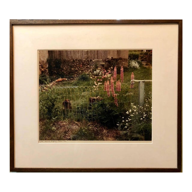 Frank Gohlke, A Yard, Mezilles Burgundy France. Field Of Flowers 1986 Vintage Color Photograph, 1986 For Sale