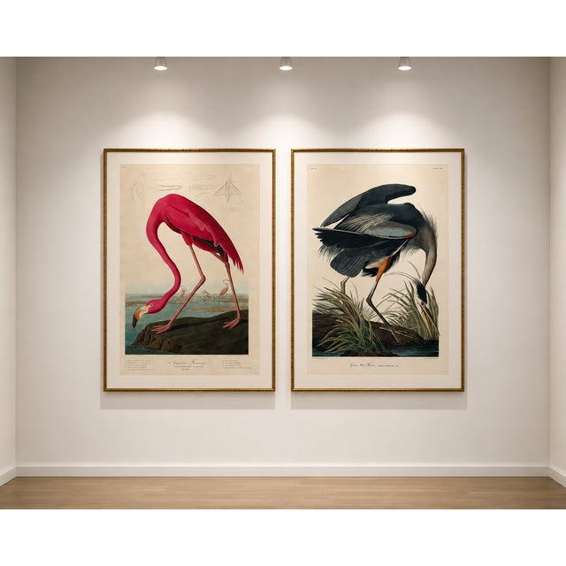 American Flamingo & Great Blue Heron Diptych, Audubon Birds of America Art Prints, 40" X 60" For Sale In Buffalo - Image 6 of 12
