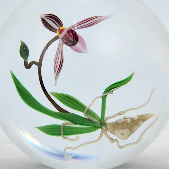 Transparent Chris Buzzini Artist-Proof Orchid Flower and Roots Art Glass Paperweight For Sale - Image 8 of 13