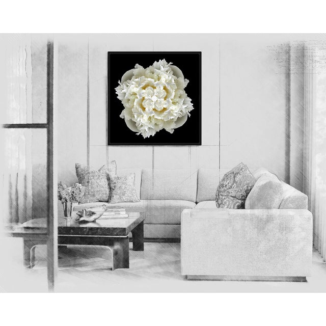 Not Yet Made - Made To Order "Peony Collage 4" Contemporary Botanical Limited Edition Photograph For Sale - Image 5 of 5